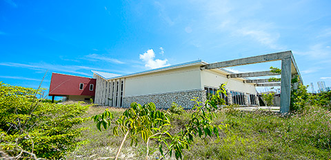John-Gray-high-school-cayman.jpg