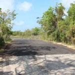 For roadwork purposes, Brac has ‘1,200 miles’ of road