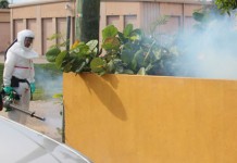 Cayman has first suspected case of chikungunya