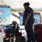 Travelers urged to leave ‘pests’ behind