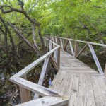 Tourism attractions subsidies top $10 million in five years