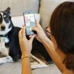 BarkCam makes the business of doggie shots a snap!