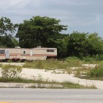 Farmers market may take root in George Town