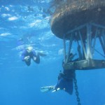 Cayman a leader in ocean research