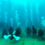 Students dive in to marine industry