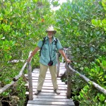 ‘Mangrove Man’ inspired by world travel