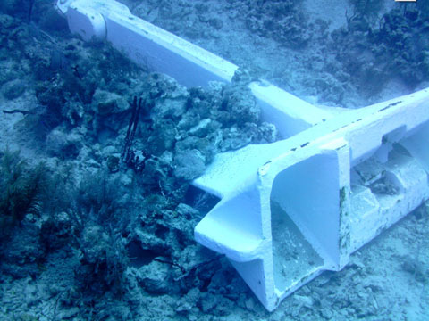 Cruise-Anchor-2014.jpg