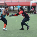 Panthers succumb to Mustangs