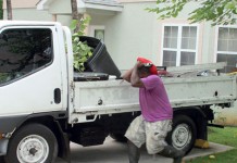 Bee attack forces residents indoors