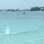 Chris Dart wins Foster’s Sea Swim