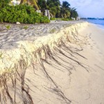 ‘King tides’ wash over parts of Cayman