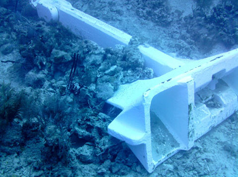 Coral-Reef-Anchor.jpg