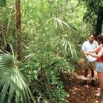 Government backs National Trust