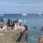 Dive community tackles coral reef damage