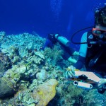 Environment officials seek accountability for reef damage