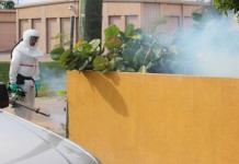 Seventh chikungunya case in Cayman confirmed