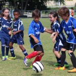 Academy gets tiniest involved