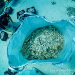 Divers remove 8,000 pounds of rubble