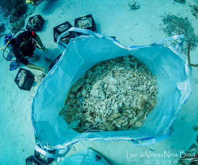 Magic-Reef-Restoration-Rubble-bag-L.jpg