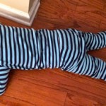 Taming the Terrible Twos
