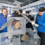 The ice bar cometh