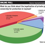 Online poll: Opinions on private gun ownership split