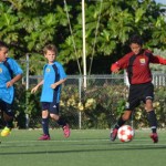 Hat-tricks top the bill