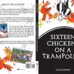‘Sixteen Chickens On A Trampoline’ Book charts happy chaos that comes with parenting
