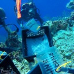 Criminal charges unlikely over Grand Cayman coral reef damage