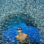 Photographer profile: Ellen Cuylaerts