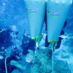 Divers seek funds for reef restoration