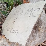 Illegal dumper: 'Catch me if you can'