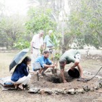 Tree planted in memory of 'Bat Lady'