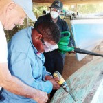 Sunrise clients help restore catboat