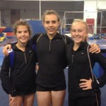 Wine lovers cheer on local gymnasts