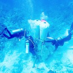 Cruise line pledges $100k to reef restoration