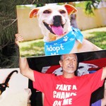 PAWS for a cause