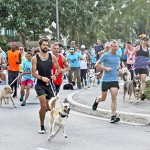 Dog jog raises money for rescue group
