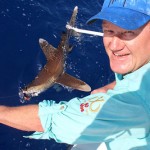 The Great Shark Hunt