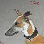Pet portraits to help Humane Society