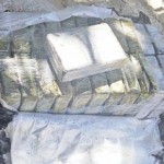 Forbidden treasure a frequent find on Cayman's beaches