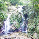 Paradise found at Las Cascadas