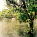 Heavy rains pound Cayman