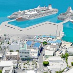 Reefs could be relocated to make way for cruise pier