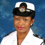 Police 'clinics' seek community input