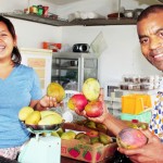 Mangoes abundant this year