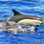 The Azores: An extraordinary Atlantic archipelago