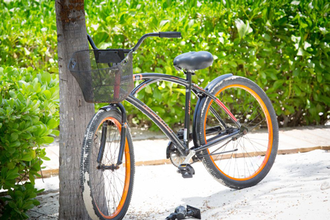 Cayman-bikes