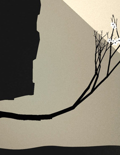 Zen-App-Prune