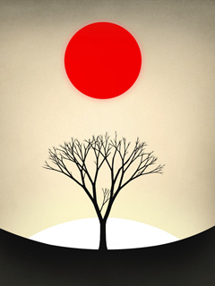 Prune-App